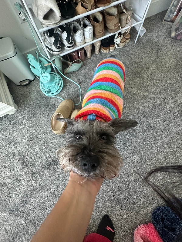 Picture of the Animal Listed